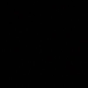 Meet your Posher, Carson